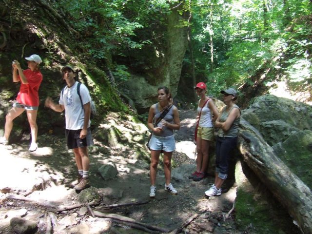 DSCF0157 (Medium)